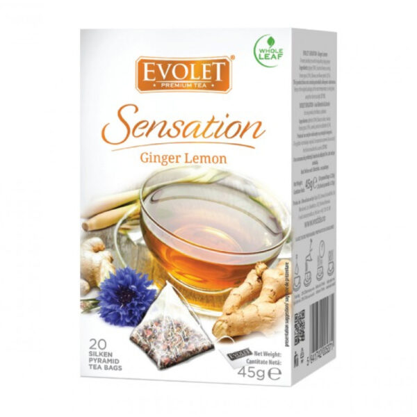 EVOLET-Sensation_piramida_ginger-lemon-01-1000x1000-1.jpg