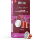 Evolet-Sensation-Coffee-Capsule-Ethiopia.png