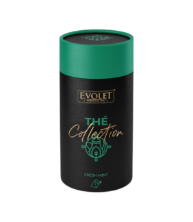 Evolet The Collection Fresh Mint   Tub piramide 15/2.25g