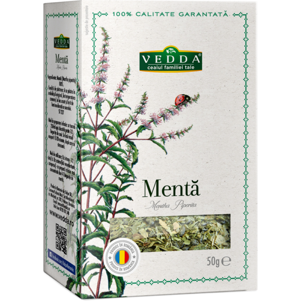 Menta-1000x1000-1.png Menta-1000x1000-1.png
